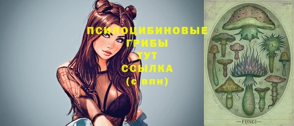 спиды Гусиноозёрск