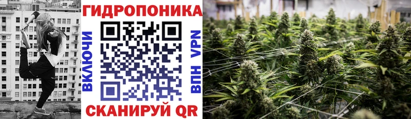 Купить закладки  Ува  Бошки Шишки гибрид 